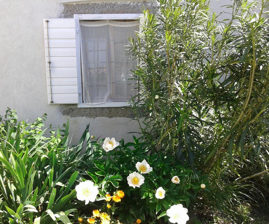 Villa Flori Adriatic à Marezige Extérieur photo